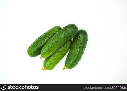 Fresh appetizing tasty cucumbers on a white background.. Fresh appetizing tasty cucumbers on a white background