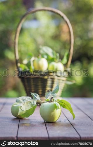 Fresh apple crop outdoors in a basket