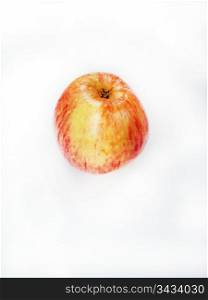 fresh apple fruit on white background. fresh apple