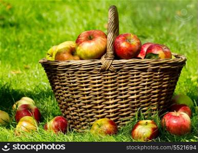 Fresh apples in a basket