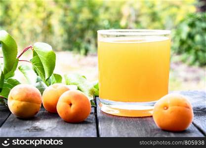 Fresh apricot juice and apricots on a table against the background of nature. Close-up.. Fresh apricot juice and apricots on a table against the background of nature.