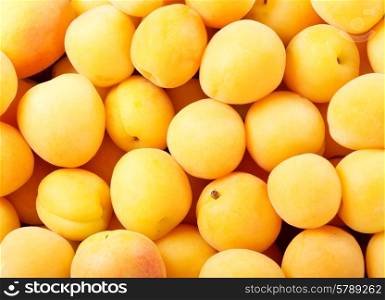 fresh apricots as background