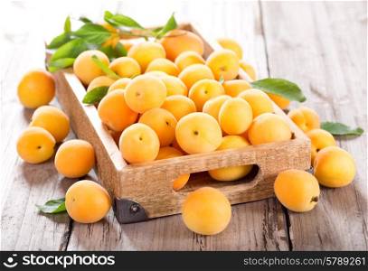 fresh apricots in wooden box