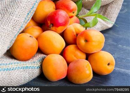 fresh apricots on burlap sack on wood