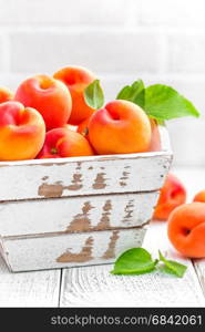 Fresh apricots with leaves on white wooden background