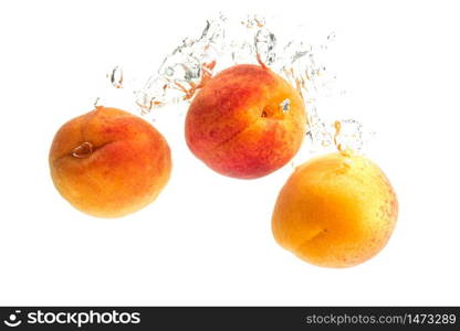 Fresh Apricots with water splash isolated over white background. Health concept. Fresh Apricots with water splash isolated over white background
