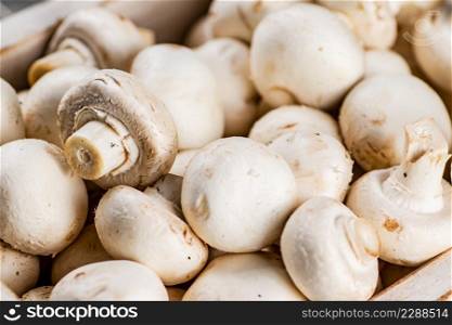 Fresh aromatic mushrooms. Macro background. High quality photo. Fresh aromatic mushrooms. Macro background.