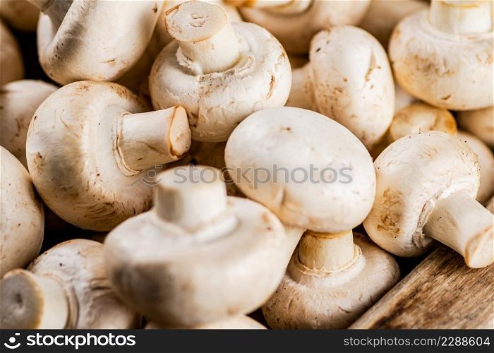 Fresh aromatic mushrooms. Macro background. High quality photo. Fresh aromatic mushrooms. Macro background.