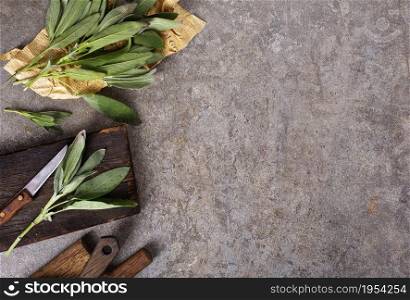 Fresh aromatic sage on old gray background
