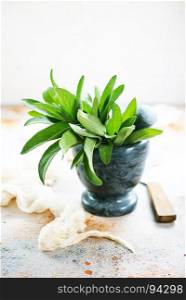 Fresh aromatic sage on the table, stock photo