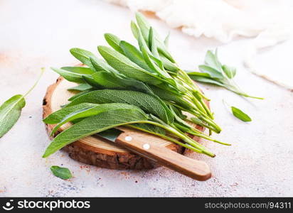 Fresh aromatic sage on the table, stock photo