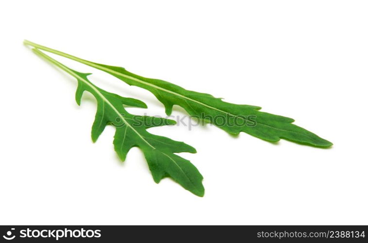 Fresh arugula leaves. Isolated on white background.