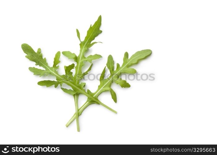 Fresh Arugula leaves on white background