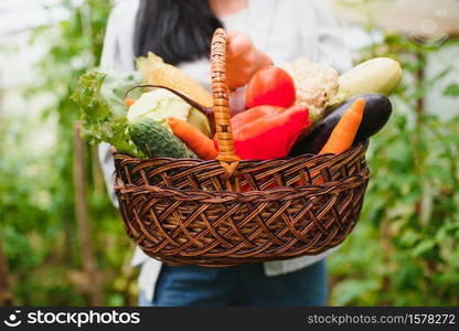 Fresh autumn vegetables in a greenhouse