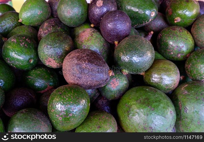 Fresh avocado fruit background / Pile of Avocado tropical fruit organic in the market