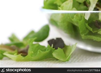 Fresh baby greens salad serving close up