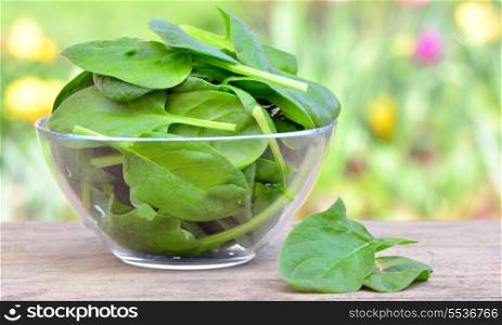 Fresh baby spinach leaves in a bowl