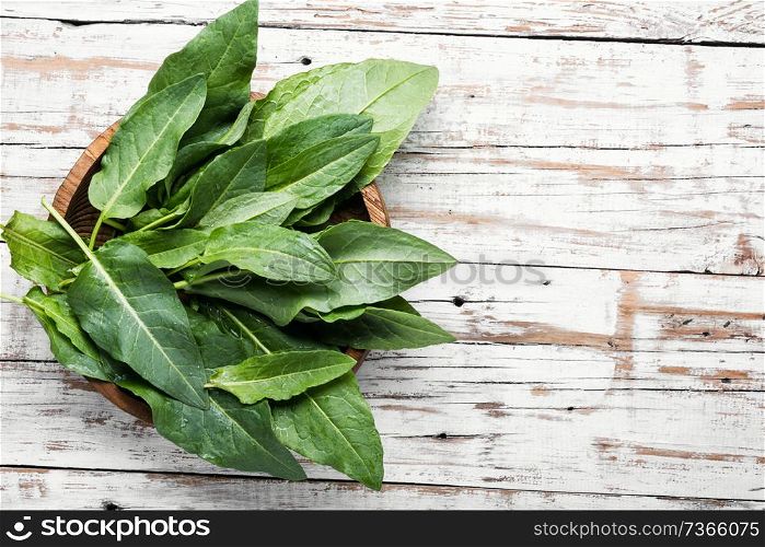 Fresh baby spinach on rustic wooden background.Fresh spinach leafs. Bundle of fresh spinach