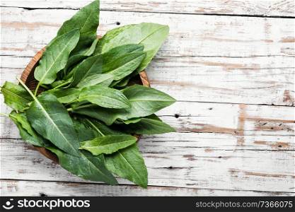 Fresh baby spinach on rustic wooden background.Fresh spinach leafs. Bundle of fresh spinach