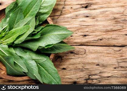 Fresh baby spinach on rustic wooden background.Fresh spinach leafs.Space for text. Fresh spinach leafs