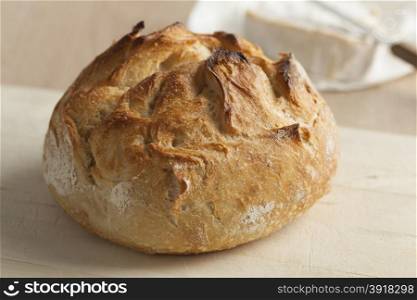 Fresh baked french farmers bread