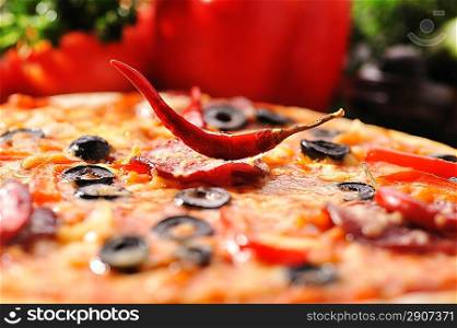 fresh baked pizza with diferent ingredients