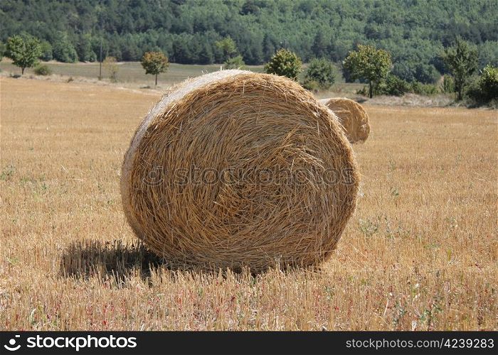 Fresh bales of hay in a French farmland
