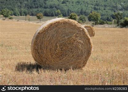 Fresh bales of hay in a French farmland