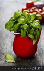Fresh basil in red jug with ingredients. Organic food, health or cooking concept
