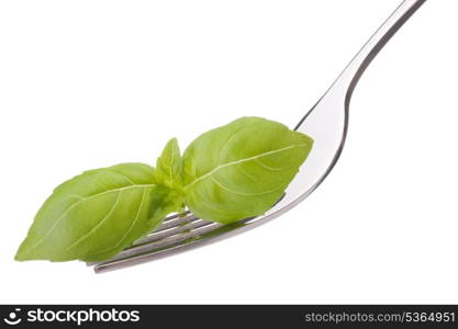 Fresh basil leaf on fork isolated on white background cutout. Healthy eating concept.