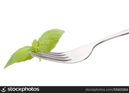 Fresh basil leaf on fork isolated on white background cutout. Healthy eating concept.