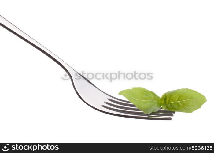 Fresh basil leaf on fork isolated on white background cutout. Healthy eating concept.