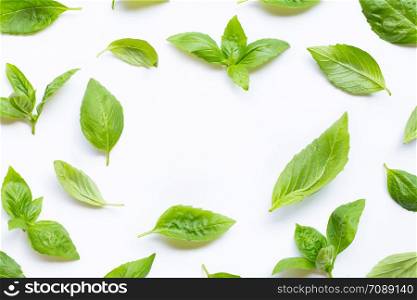 Fresh basil leaves on white background.