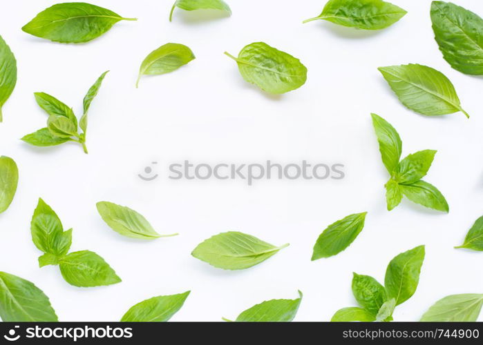 Fresh basil leaves on white background. Copy space