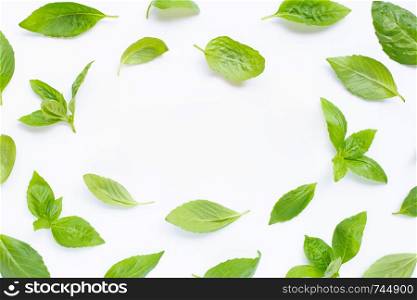 Fresh basil leaves on white background. Copy space