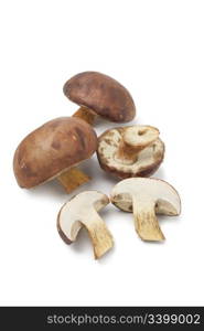 Fresh Bay Bolete mushrooms on white background