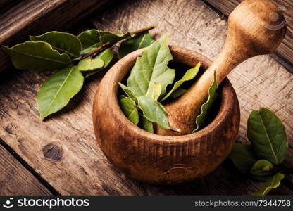 Fresh bay leaves in bowl on a rustic background.Dried bay leaves in bowl. Aromatic bay leaves