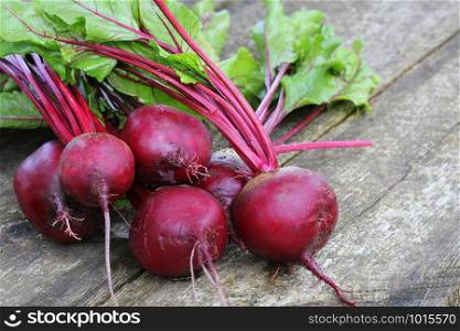 Fresh beetroot on rustic wooden background. Harvest vegetable cooking conception . Diet or vegetarian food concept .. Fresh beetroot on rustic wooden background. Harvest vegetable cooking conception . Diet or vegetarian food concept