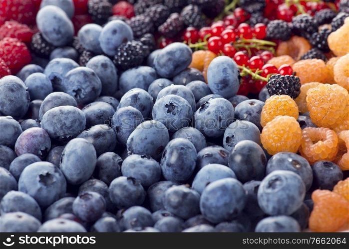 Fresh berries assortment , close up shot