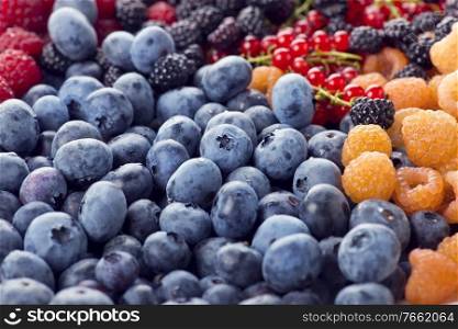 Fresh berries assortment , close up shot