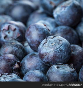 Fresh Berries - Blueberries background closeup