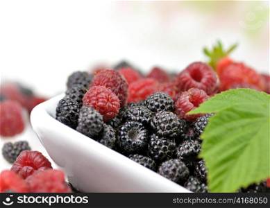fresh berries , close up on white dish
