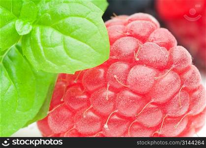 Fresh berries with mint