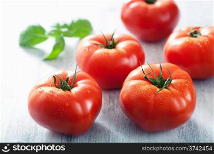 fresh big tomatoes and basil leaves