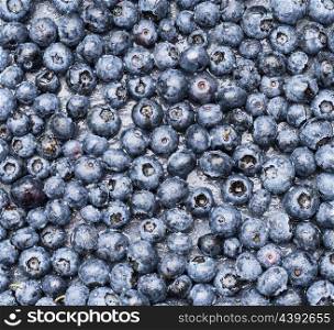 Fresh Bilberry background, top view