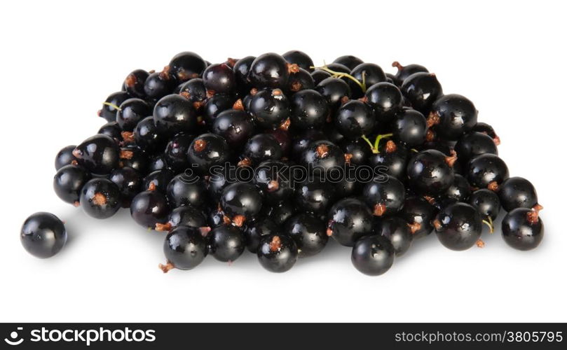 Fresh Black Currant Rotated Isolated On White Background