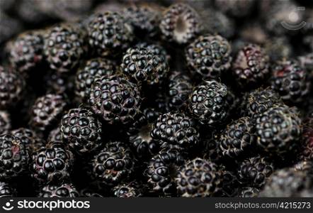 fresh blackberries , close up shot for background