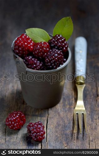 Fresh blackberries in small bucket