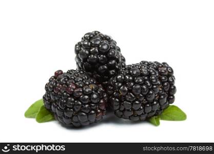 fresh blackberries isolated