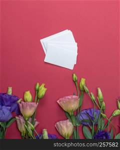 fresh blooming flowers Eustoma Lisianthus and empty paper card on red background, top view, copy space